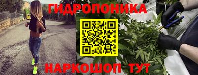 прущие грибы Можайск