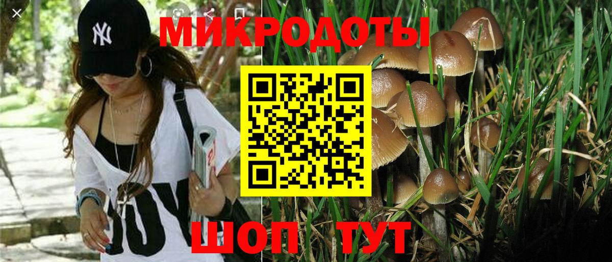Галлюциногенные грибы Magic Shrooms Чернушка